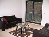 couch and rugs furniture package